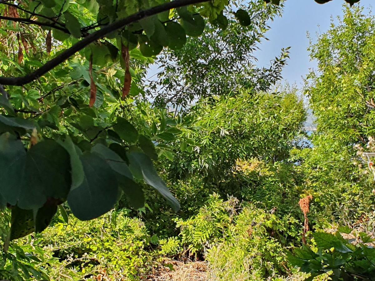 Appartamento Treti Mart North Primorsko Esterno foto